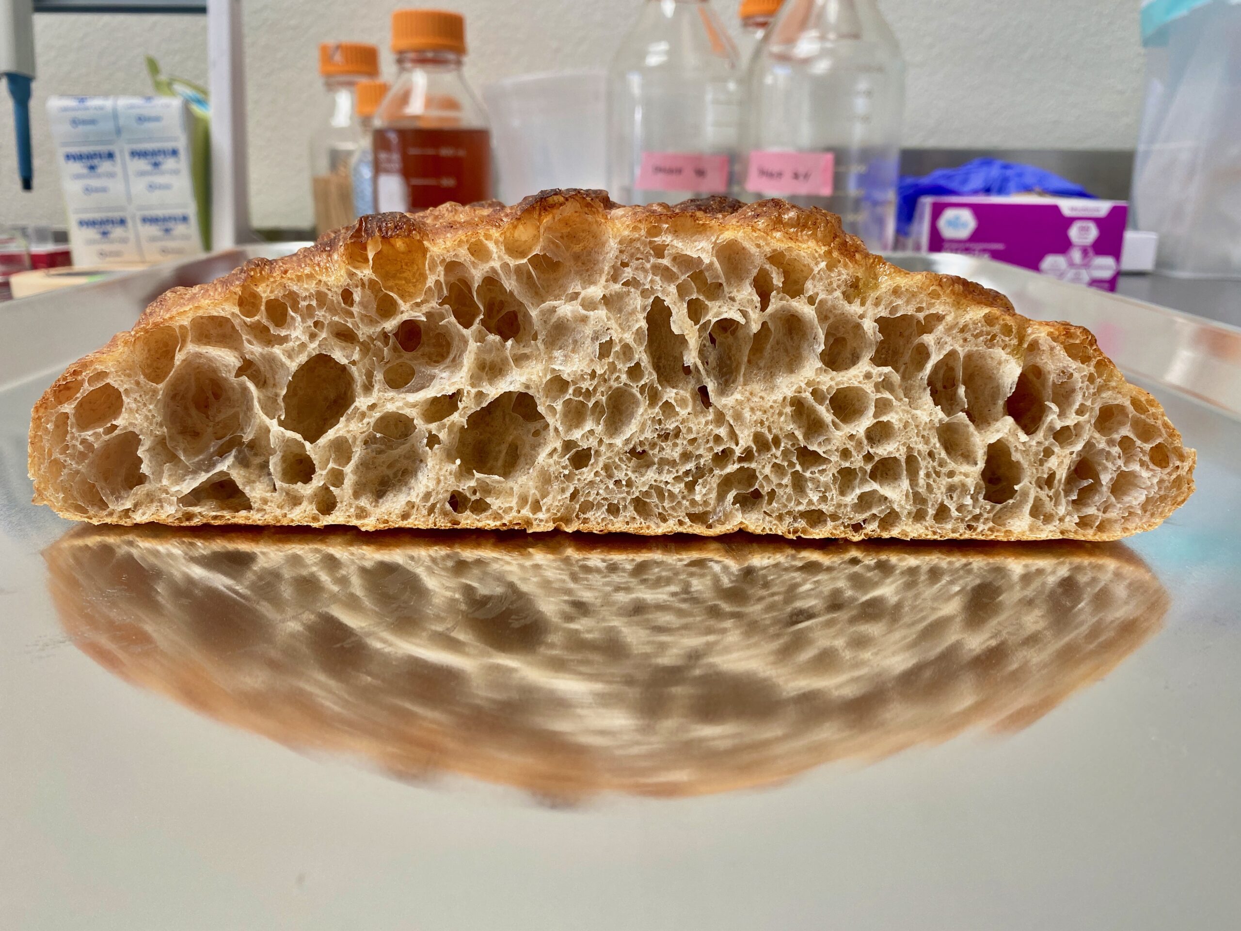 High Hydration Roman Pizza Bianca - Leaven Foods